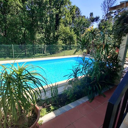 Sossego Na Cidade Viseu Bagian luar foto